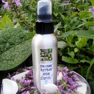 BYLINNÁ PLEŤOVÁ VODA ČISTÍCÍ ☼ 100 ml ALU