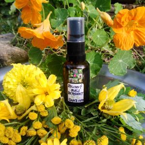 AROMATERAPEUTICKÝ BYLINNÝ OLEJ °REPELENT°BAMBINO° 25 ml 