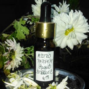 AROMATERAPEUTICKÝ OLEJOVÝ PARFÉM*SPIRIT °ASTRO°SAGITTARIUS° ♐︎ 10 ml
