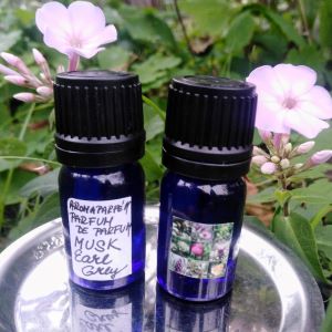 AROMATERAPEUTICKÝ OLEJOVÝ PARFÉM*MOCHUS °MUSK EARL GREY° 6 ml