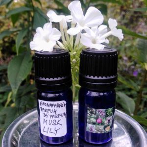 AROMATERAPEUTICKÝ OLEJOVÝ PARFÉM*MOCHUS °MUSK LILY°   6 ml